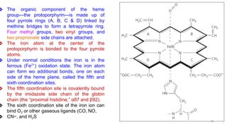 ❖ The organic component of the heme
group—the protoporphyrin—is made up of
four pyrrole rings (A, B, C & D) linked by
methine bridges to form a tetrapyrrole ring.
Four methyl groups, two vinyl groups, and
two proprionate side chains are attached.
❖ The iron atom at the center of the
protoporphyrin is bonded to the four pyrrole
atoms.
❖ Under normal conditions the iron is in the
ferrous (Fe2+
) oxidation state. The iron atom
can form wo additional bonds, one on each
side of the heme plane, called the fifth and
sixth coordination sites.
❖ The fifth coordination site is covalently bound
by the imidazole side chain of the globin
chain (the “proximal histidine,” α87 and β92).
❖ The sixth coordination site of the iron ion can
bind O2 or other gaseous ligands (CO, NO,
❖ CN−, and H2S
66
 