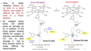▪ An isolated heme
binds CO 25000
times as strongly as
O2 in solution. In the
living system binding
affinity for oxygen is
reduced considerably.
For CO to bind
strongly, it has to
bind linearly which is
made difficult by
distal histidine
▪ Role of distal
histidine: Makes O2
to bind in a bent
fashion and makes it
difficult for CO to
bind in a linear
fashion.
Tense (T) state Relaxed (R) state
67
 
