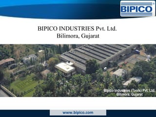 BIPICO INDUSTRIES Pvt. Ltd. 
Bilimora, Gujarat 
www.bipico.com 
 