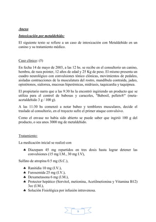 9
Anexo
Intoxicación por metaldehído:
El siguiente texto se refiere a un caso de intoxicación con Metaldehído en un
canino y su tratamiento médico.
Caso clínico: (5)
En fecha 14 de mayo de 2003, a las 12 hs. se recibe en el consultorio un canino,
hembra, de raza pointer, 12 años de edad y 25 Kg de peso. El mismo presenta un
cuadro neurológico con convulsiones tónico clónicas, movimientos de pedaleo,
aisladas contracciones de la musculatura del rostro, mandíbula contraída, jadeo,
opistótonos, sialorrea, mucosas hiperémicas, midriasis, taquicardia y taquipnea.
El propietario narra que a las 9:30 hs la encontró ingiriendo un producto que se
utiliza para el control de babosas y caracoles, "Babosil, pellets®" (meta-
acetaldehido 3 g / 100 g).
A las 11:30 hs comenzó a notar babeo y temblores musculares, decide el
traslado al consultorio, en el trayecto sufre el primer ataque convulsivo.
Como el envase no había sido abierto se puede saber que ingirió 100 g del
producto, o sea unos 3000 mg de metaldehido.
Tratamiento:
La medicación inicial se realizó con
Diazepam 45 mg repartidos en tres dosis hasta lograr detener las
convulsiones (15 mg I.M., 30 mg I.V),
Sulfato de atropina 0.5 mg (S.C.),
Ranitidia 10 mg (I.V.),
Furosemida 25 mg (I.V.),
Dexametasona 6 mg (I.M.),
Protector hepático (Sorvitol, metionina, Acetilmetionina y Vitamina B12)
3cc (I.M.),
Solución Fisiológica por infusión intravenosa.
 