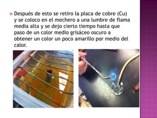    Después de esto se retiro la placa de cobre (Cu)
    y se coloco en el mechero a una lumbre de flama
    media alta y se dejo cierto tiempo hasta que
    paso de un color medio grisáceo oscuro a
    obtener un color un poco amarillo por medio del
    calor.
 