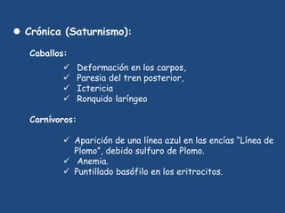  Crónica (Saturnismo):
Caballos:
 Deformación en los carpos,
 Paresia del tren posterior,
 Ictericia
 Ronquido laríngeo
Carnívoros:
 Aparición de una línea azul en las encías “Línea de
Plomo”, debido sulfuro de Plomo.
 Anemia.
 Puntillado basófilo en los eritrocitos.
 