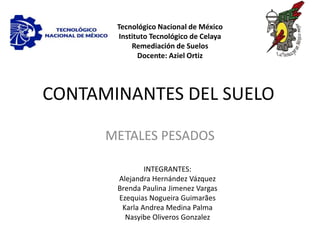 CONTAMINANTES DEL SUELO
METALES PESADOS
INTEGRANTES:
Alejandra Hernández Vázquez
Brenda Paulina Jimenez Vargas
Ezequias Nogueira Guimarães
Karla Andrea Medina Palma
Nasyibe Oliveros Gonzalez
Tecnológico Nacional de México
Instituto Tecnológico de Celaya
Remediación de Suelos
Docente: Aziel Ortiz
 