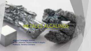 METALES ALCALINOS
Alfonso Campagno Storani
4° “B”| Instituto Técnico Adrián P. Urquía|
Profesora: Verónica Giordano
 