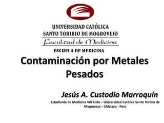 Contaminación por Metales
        Pesados
            Jesús A. Custodio Marroquín
     Estudiante de Medicina VIII Ciclo – Universidad Católica Santo Toribio de
                          Mogrovejo – Chiclayo - Perú
 