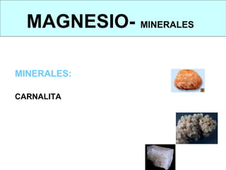 MAGNESIO- MINERALES
MINERALES: carnalita, dolomita y magnesita



MINERALES:
Los minerales de magnesio más importantes son:

CARNALITA:        (cloruro de magnesio potasio hexahidratado, KMgCl . 6
H2O), es el más empleado y puede obtenerse del agua de mar.


DOLOMITA: (carbonato de calcio-magnesio, CaMg(CO3)2 ).
MAGNESITA: (carbonato de magnesio, MgCO3).
 