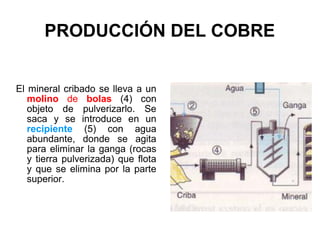 PRODUCCIÓN DEL COBRE


El mineral cribado se lleva a un
   molino de bolas (4) con
   objeto de pulverizarlo. Se
   saca y se introduce en un
   recipiente (5) con agua
   abundante, donde se agita
   para eliminar la ganga (rocas
   y tierra pulverizada) que flota
   y que se elimina por la parte
   superior.
 
