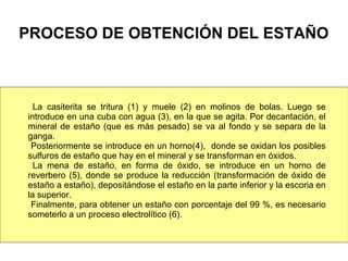 PROCESO DE OBTENCIÓN DEL ESTAÑO



  La casiterita se tritura (1) y muele (2) en molinos de bolas. Luego se
introduce en una cuba con agua (3), en la que se agita. Por decantación, el
mineral de estaño (que es más pesado) se va al fondo y se separa de la
ganga.
 Posteriormente se introduce en un horno(4), donde se oxidan los posibles
sulfuros de estaño que hay en el mineral y se transforman en óxidos.
  La mena de estaño, en forma de óxido, se introduce en un horno de
reverbero (5), donde se produce la reducción (transformación de óxido de
estaño a estaño), depositándose el estaño en la parte inferior y la escoria en
la superior.
 Finalmente, para obtener un estaño con porcentaje del 99 %, es necesario
someterlo a un proceso electrolítico (6).
 