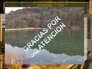 GRACIAS POR SU ATENCION