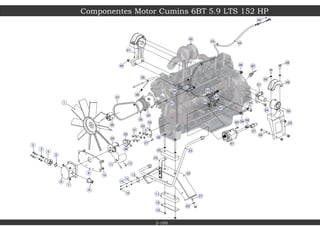 40
41
45
42
51
49
48
19
18
43
28
17
54
16
11
44
56
22
5
24
53
47
46
25
21
20
26
52
57
13
58
14
15
55
50
60
23
59
61
62
33
63
66
27
64
32
65
31
38
30
39
67
12
29
2
37
10
3
9
4
36
34
35
1
6
7
8
Componentes Motor Cumins 6BT 5.9 LTS 152 HP
2-100
 