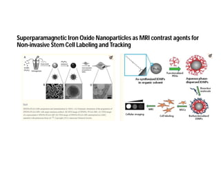 Metallic nanoparticles final | PDF