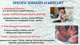 SPECIFIC DISEASES of MERCURY
1. MINAMATA DISEASE ;
It is due to Chronic organic Mercury
Causes ; Eating contaminated & shell Fish
Symptoms: seizures , tremors, swallow difficulty,
disturbance in coordination of gait , speech
2. Pink disease/ Acrodynia;
It occurs mostly in children, due to
Idiosyncratic hypersensitivity
Cause - repeated contact with Mercury
mptoms; acral rashes , itching, swelling, tachycardia, photophobia,
insomnia , Desquamation of palms & soles
 