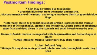 * Skin may be yellow due to jaundice.
* Greenish-blue froth from the mouth and nostrils.
. Mucous membrane of the mouth and tongue may have bluish or greenish-blue
tinge.
* Internally, bluish or greenish-blue discoloration is present in the mucous
membrane of the esophagus, stomach and intestines. Caustic burns of esophagus
superficial and deep ulcers in the stomach and small intestine may be seen.
Stomach: Gastric mucosa is congested with desquamation and hemorrhages at
places
* Small intestine: Mucosa (upper part) may show necrosis.
*. Liver: Soft and fatty.
*Kidneys: It may show acute proximal tubular necrosis. Hemoglobin casts may b
seen
Postmortem Findings :
 