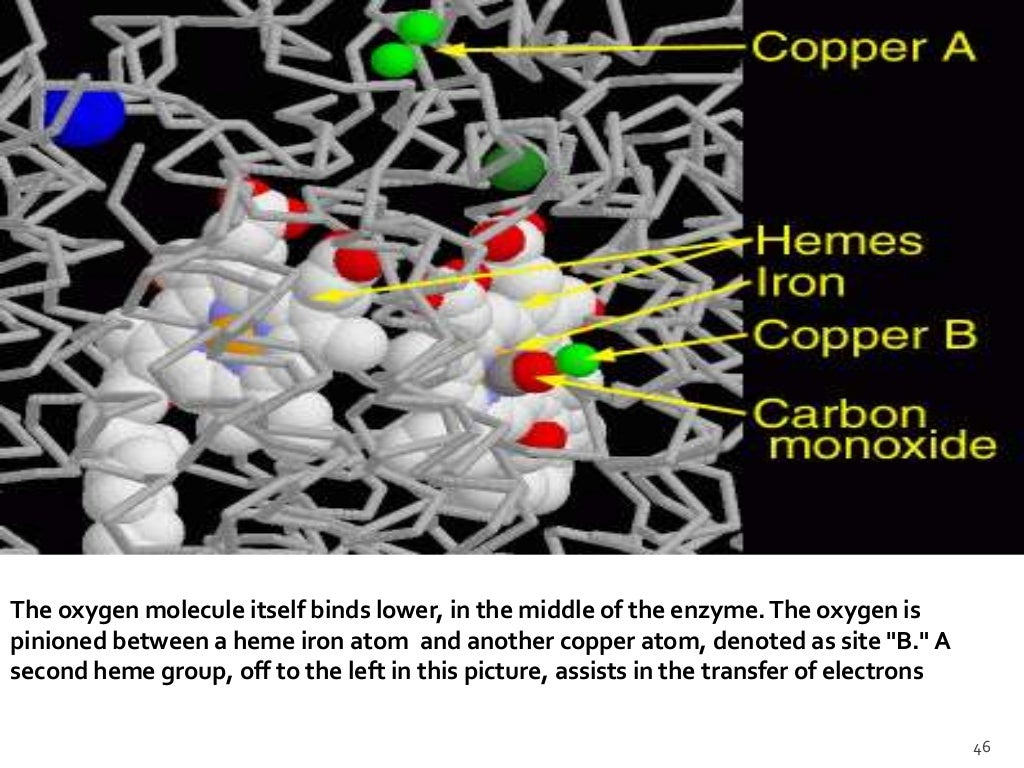 Metalloenzymes preethi