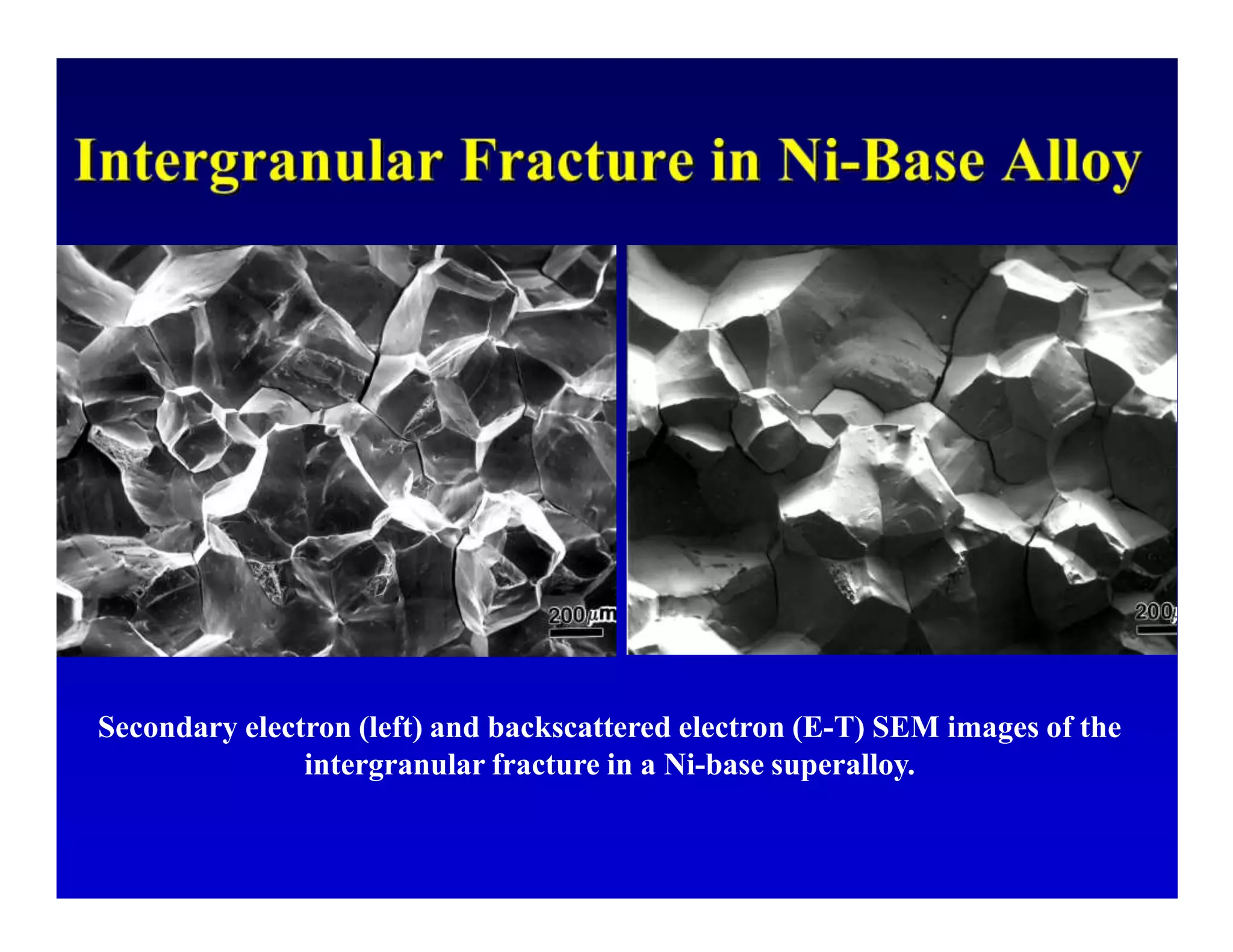 Metallography Segregation Metallography_and_Failure_Analysis.pptx