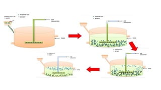 ppt on Metallurgical Engineering PPT.pptx