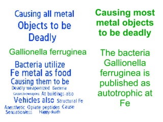 Causing most
metal objects
to be deadly
The bacteria
Gallionella
ferruginea is
published as
autotrophic at
Fe
Gallionella ferruginea
 