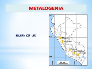 SKARN CU - AU
 