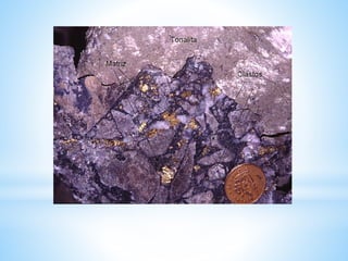 BRECHA MINERALIZADA DE TURMALINA, LA MATRIZ CONTIENE
TURMALINA, CUARZO Y CALCOPIRITA, LA ROCA DE CAJA Y CLASTOS
CORRESPONDEN A TONALITA.
 