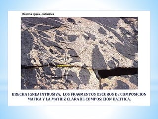 BRECHA IGNEA INTRUSIVA, LOS FRAGMENTOS OSCUROS DE COMPOSICION
MAFICA Y LA MATRIZ CLARA DE COMPOSICION DACITICA.
 