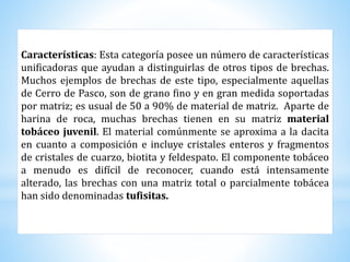 Características: Esta categoría posee un número de características
unificadoras que ayudan a distinguirlas de otros tipos de brechas.
Muchos ejemplos de brechas de este tipo, especialmente aquellas
de Cerro de Pasco, son de grano fino y en gran medida soportadas
por matriz; es usual de 50 a 90% de material de matriz. Aparte de
harina de roca, muchas brechas tienen en su matriz material
tobáceo juvenil. El material comúnmente se aproxima a la dacita
en cuanto a composición e incluye cristales enteros y fragmentos
de cristales de cuarzo, biotita y feldespato. El componente tobáceo
a menudo es difícil de reconocer, cuando está intensamente
alterado, las brechas con una matriz total o parcialmente tobácea
han sido denominadas tufisitas.
 