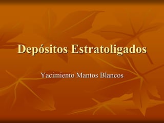 Depósitos Estratoligados
Yacimiento Mantos Blancos
 