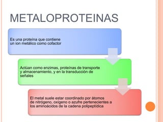 METALOPROTEINAS
Es una proteína que contiene
un ion metálico como cofactor
Actúan como enzimas, proteínas de transporte
y almacenamiento, y en la transducción de
señales
El metal suele estar coordinado por átomos
de nitrógeno, oxígeno o azufre pertenecientes a
los aminoácidos de la cadena polipeptídica
 