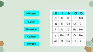 Nitrogen
Potassium
Sulfur
Carbon
Oxygen
 