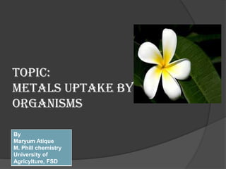 Topic:
Metals uptake by
organisms
By
Maryum Atique
M. Phill chemistry
University of
Agricylture, FSD

 
