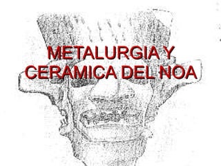METALURGIA Y CERAMICA DEL NOA 