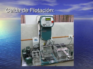 Celda de Flotación:

 