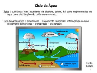 Água : substância mais abundante na biosfera, porém, há baixa disponibilidade de
água doce, distribuição não uniforme e mau uso.
Ciclo biogeoquímico : precipitação - escoamento superficial -infiltração/percolação -
escoamento subterrâneo – transpiração – evaporação.
Ciclo da Água
Fonte:
Google
10
 