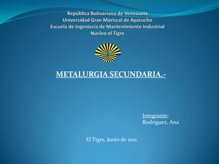 METALURGIA SECUNDARIA.-




                                 Integrante:
                                 Rodriguez, Ana


      El Tigre, Junio de 2011.
 
