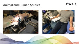 September 23, 2020 12
Animal and Human Studies
 