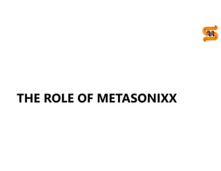 15
THE ROLE OF METASONIXX
 