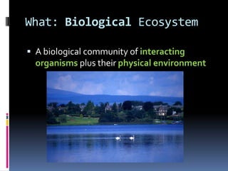 What: Biological Ecosystem

 A biological community of interacting
  organisms plus their physical environment
 