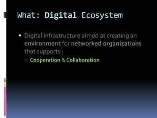 Evolution to Digital Business Ecosystems Slide 22