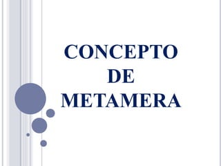 CONCEPTO
DE
METAMERA
 