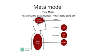Meta model
 