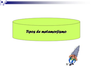 Tipos de metamorfismo
 