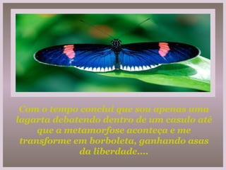 Com o tempo conclui que sou apenas uma lagarta debatendo dentro de um casulo até que a metamorfose aconteça e me transforme em borboleta, ganhando asas da liberdade.... 