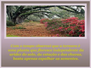 Com o tempo observei que a ternura é  uma planta que floresce independente da aridez do solo, da estação e das chuvas, basta apenas espalhar as sementes. 