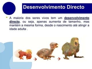 A maioria dos seres vivos tem um desenvolvimento directo, ou seja, apenas aumenta de tamanho, mas mantém a mesma forma, desde o nascimento até atingir a idade adulta . Desenvolvimento Directo