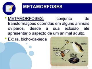 METAMORFOSES: conjunto de transformações ocorridas em alguns animais ovíparos, desde a sua eclosão até apresentar o aspecto de um animal adulto.Ex: rã, bicho-da-sedaMETAMORFOSES