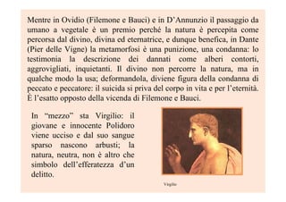 Mentre in Ovidio (Filemone e Bauci) e in D’Annunzio il passaggio da
umano a vegetale è un premio perché la natura è percepita come
percorsa dal divino, divina ed eternatrice, e dunque benefica, in Dante
(Pier delle Vigne) la metamorfosi è una punizione, una condanna: lo
testimonia la descrizione dei dannati come alberi contorti,
aggrovigliati, inquietanti. Il divino non percorre la natura, ma in
qualche modo la usa; deformandola, diviene figura della condanna di
peccato e peccatore: il suicida si priva del corpo in vita e per l’eternità.
È l’esatto opposto della vicenda di Filemone e Bauci.
In “mezzo” sta Virgilio: il
giovane e innocente Polidoro
viene ucciso e dal suo sangue
sparso nascono arbusti; la
natura, neutra, non è altro che
simbolo dell’efferatezza d’un
delitto.
Virgilio
 