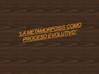 “LA METAMORFOSIS COMO PROCESO EVOLUTIVO” 