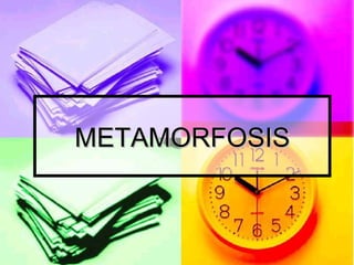 METAMORFOSIS 
