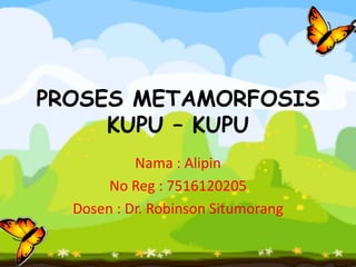 PROSES METAMORFOSIS
     KUPU – KUPU
           Nama : Alipin
       No Reg : 7516120205
  Dosen : Dr. Robinson Situmorang
 