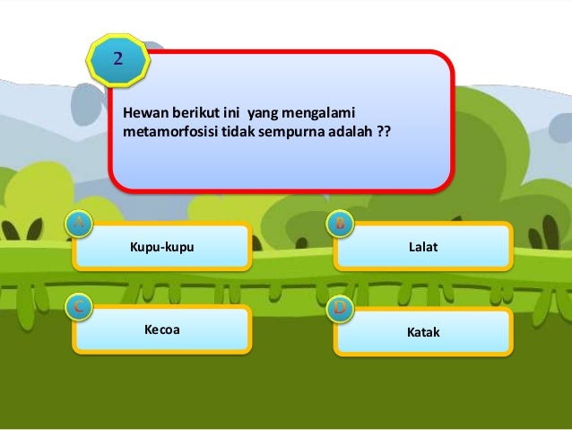 Metamorfosis Kupukupu Dan Katak