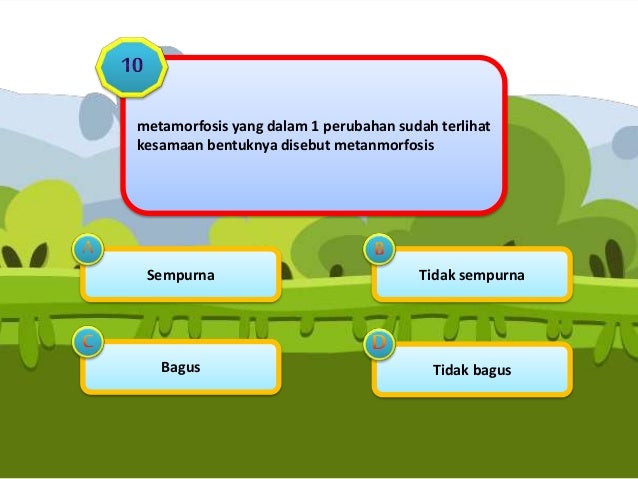 Metamorfosis Kupukupu Dan Katak